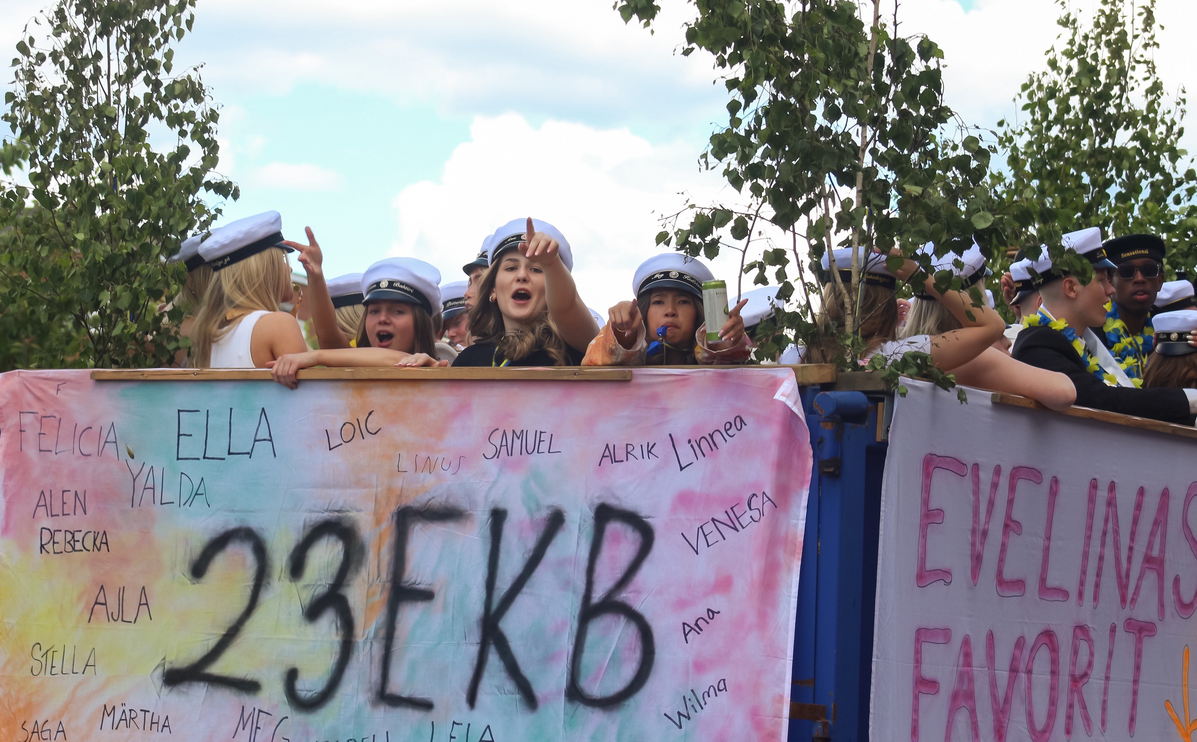 En fullbred bild