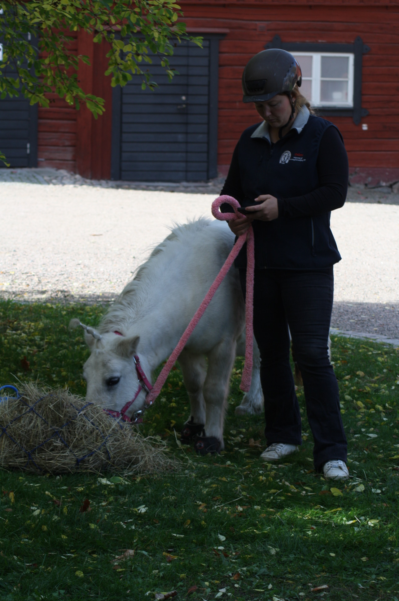 En fullbred bild