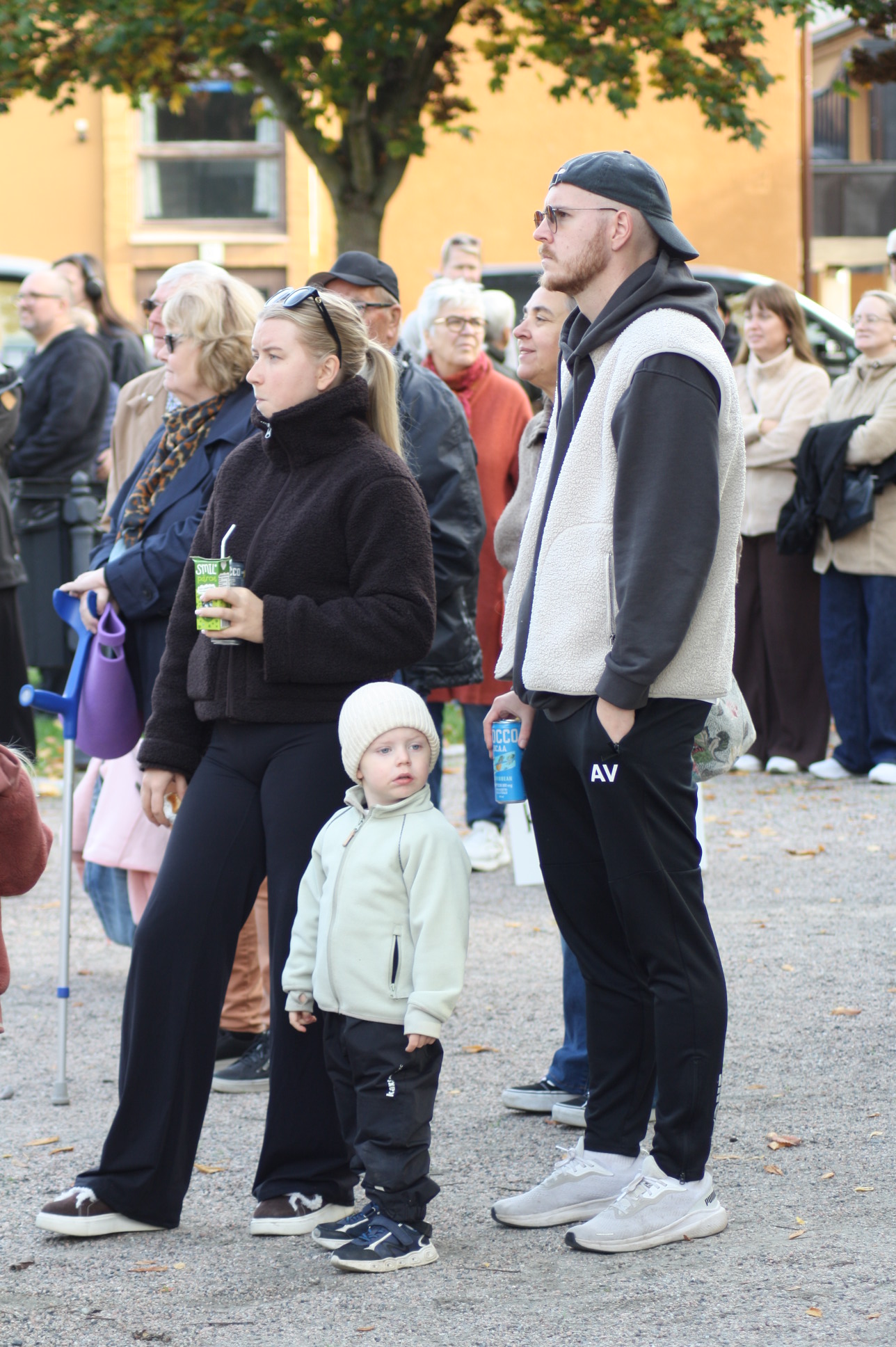 En fullbred bild